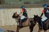 Oxford Polo 2023_01_08 0048